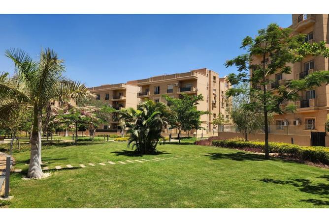 8508592 - Property Image 3