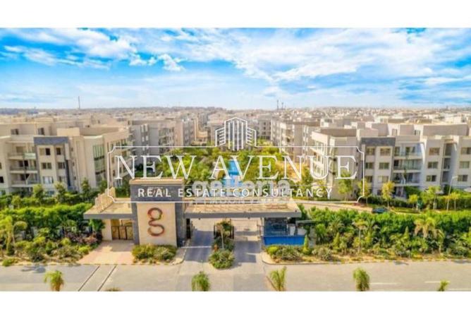 8115303 - Property Image 3