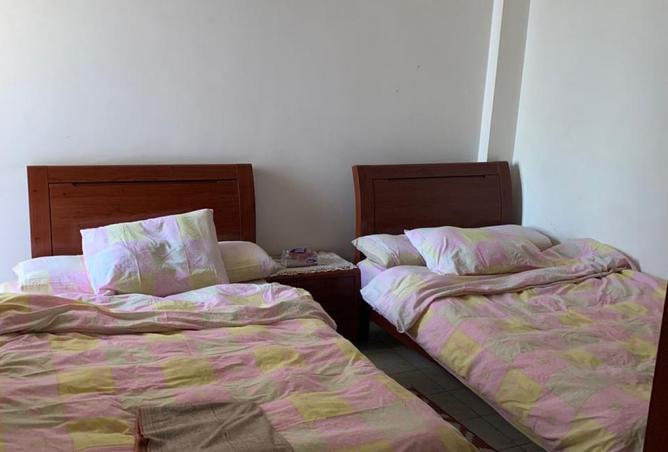 7937660 - Property Image 3