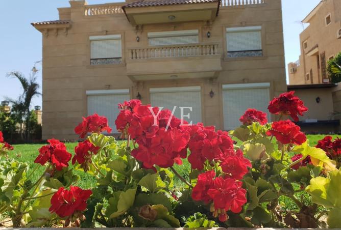 8211906 - صورة العقار 2