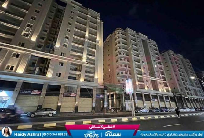 8347741 - Property Image 3