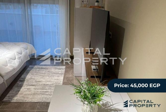 8150542 - Property Image 2
