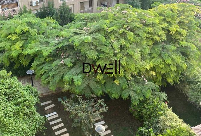8080380 - Property Image 2