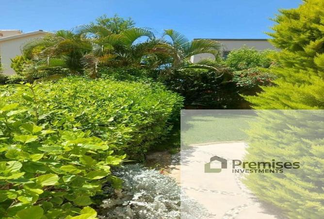 8365024 - صورة العقار 3