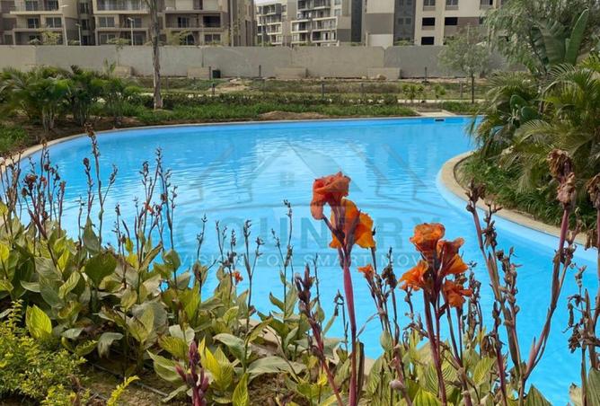 8486336 - Property Image 2