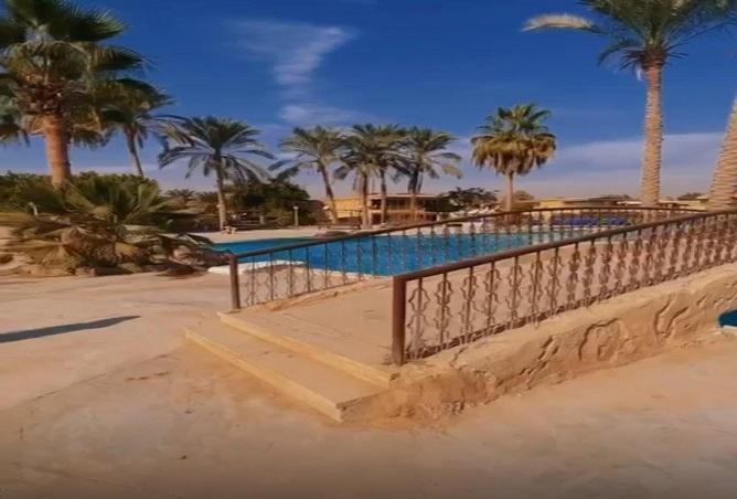 7153969 - صورة العقار 3