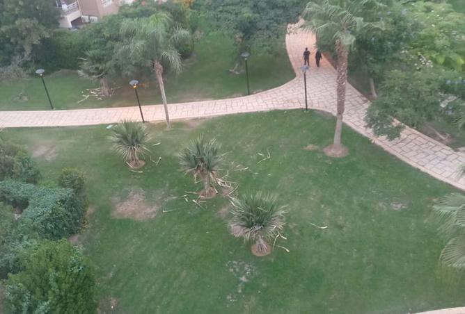 8037126 - الصورة الرئيسية للعقار