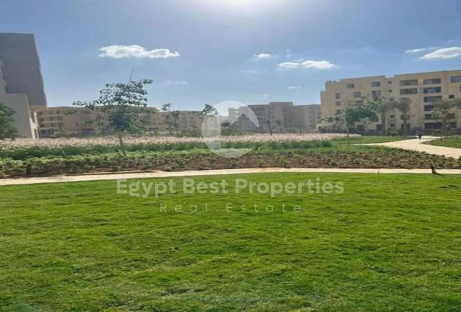 8134674 - Property Image 3