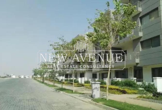 8358938 - Property Image 3