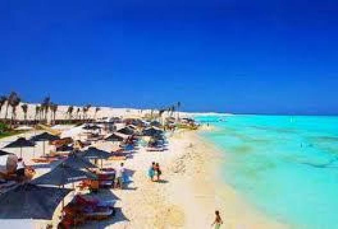7893461 - صورة العقار 2