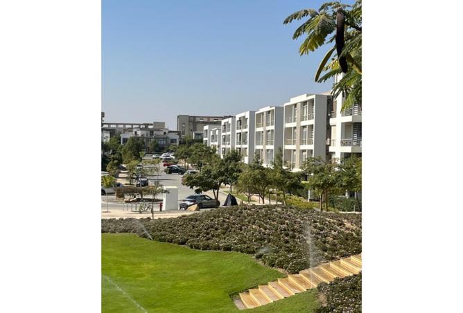 8167900 - Property Image 2