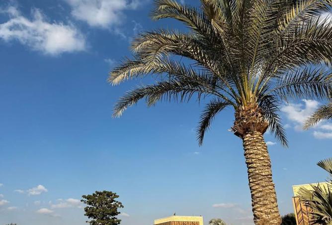 8160675 - صورة العقار 2