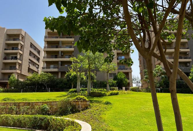 8197645 - صورة العقار 3