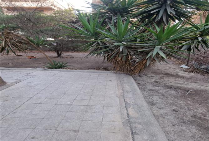 7989056 - صورة العقار 3