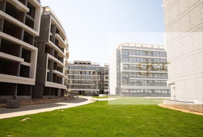 8198254 - صورة العقار 2