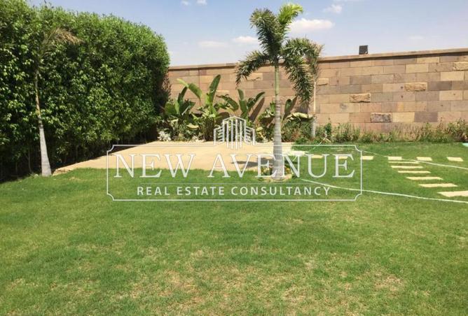 8455637 - Property Image 3