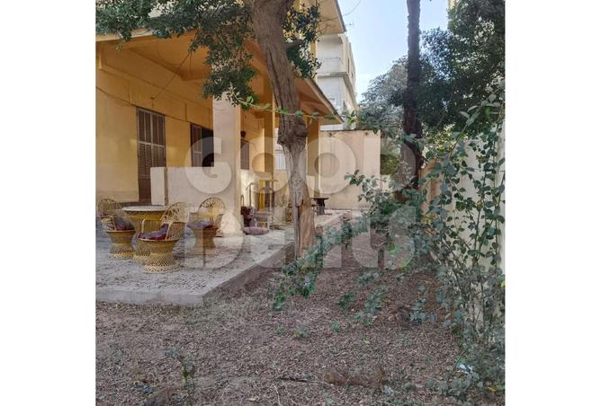 8403997 - صورة العقار 3