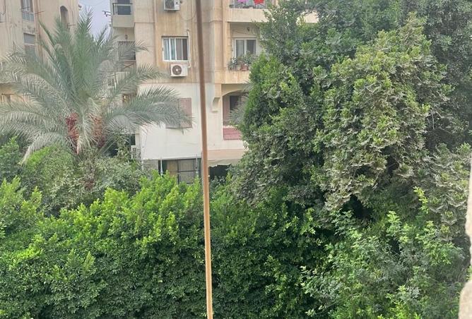 8419717 - صورة العقار 2