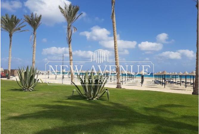 8409707 - Property Image 3