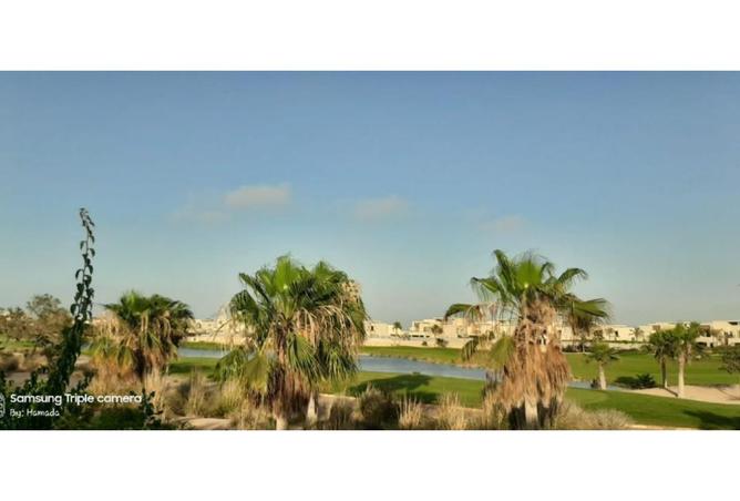 8119966 - Property Image 3