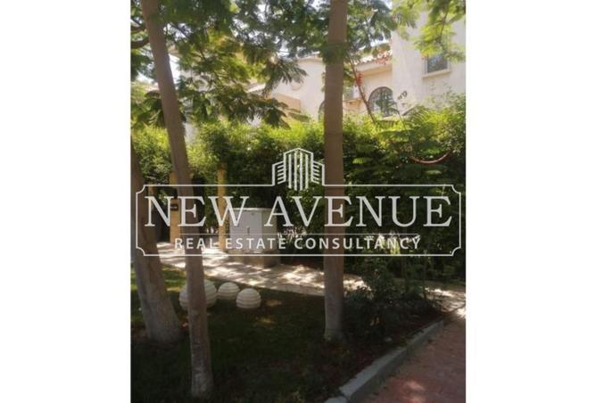 8404903 - Property Image 3