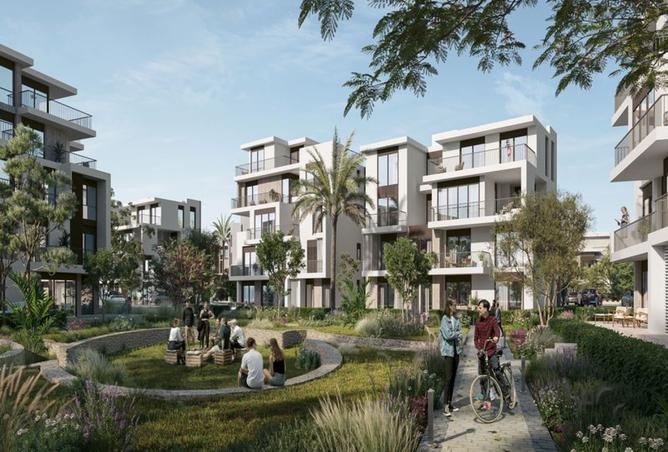 8117694 - Property Image 3