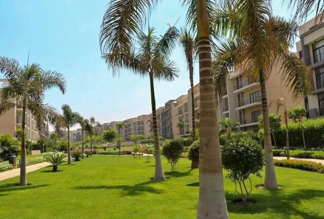 8274529 - صورة العقار 3