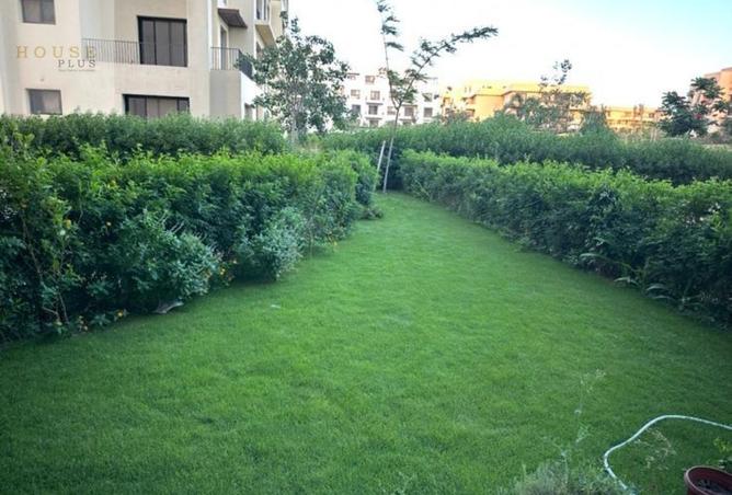 8165771 - صورة العقار 3