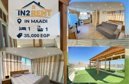 (بنتهاوس  (روف - غرفة نوم - 1 حمام للايجار في ميدان دجله - دجلة - حي المعادي - القاهرة