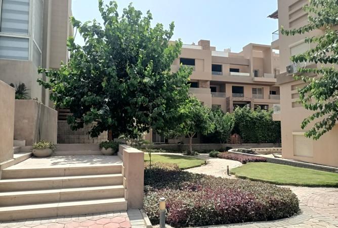 8433283 - Property Image 3