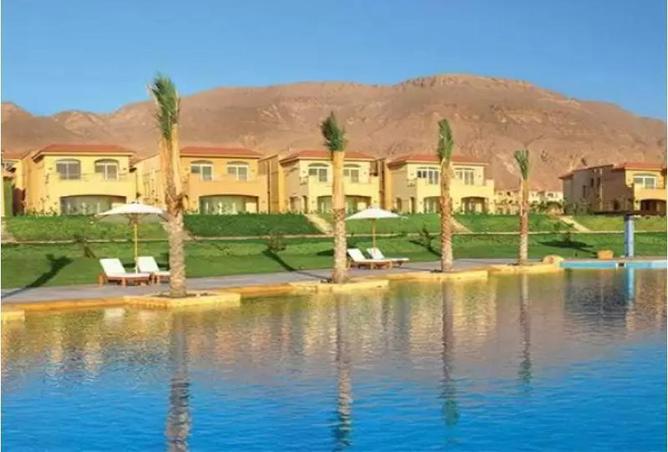 7990506 - صورة العقار 3