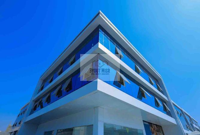 8396662 - Property Image 3