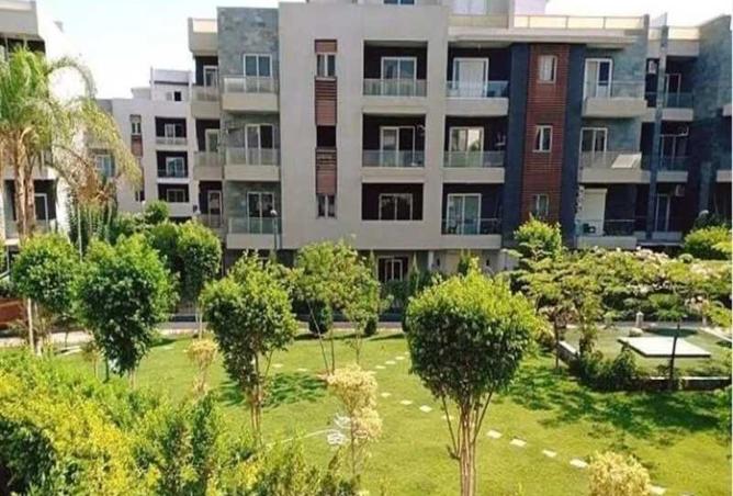 8436318 - Property Image 3