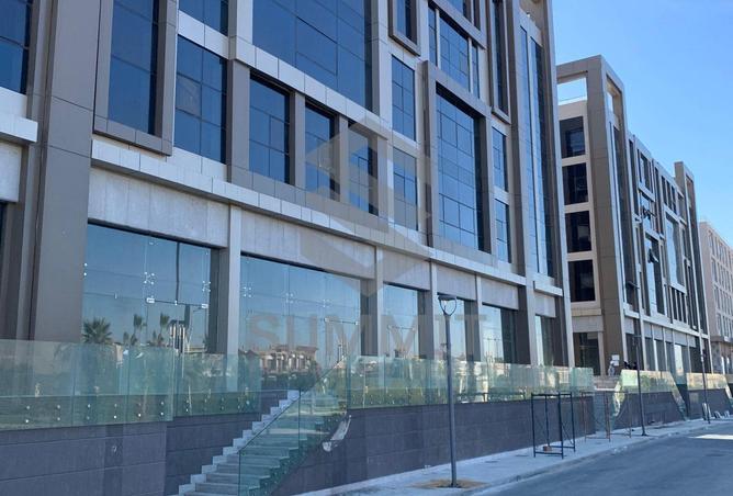 8429637 - Property Image 3