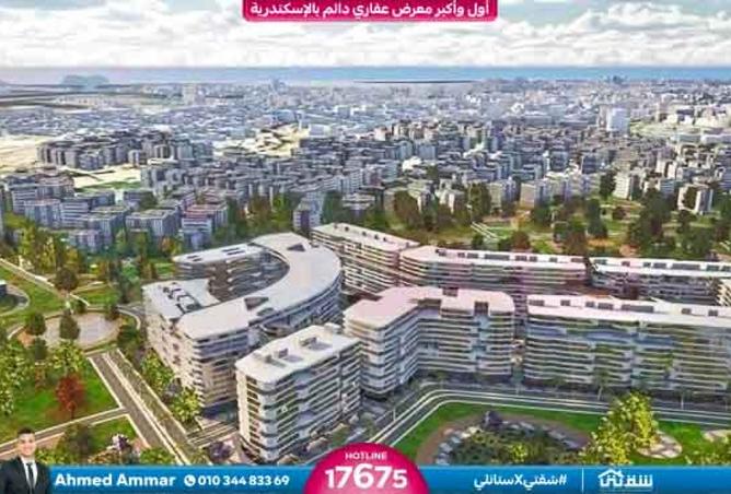 8553473 - الصورة الرئيسية للعقار