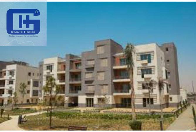 8383446 - Property Image 2