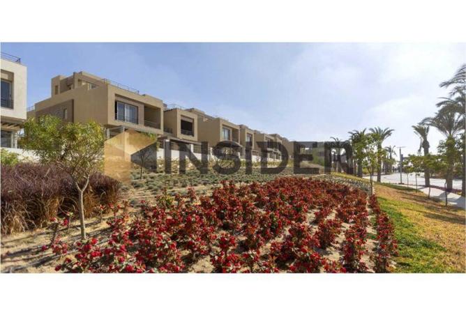 8088797 - Property Image 3