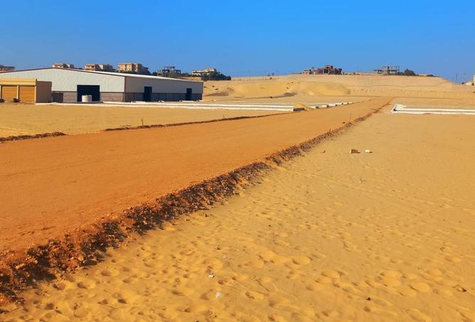 8442022 - Property Image 3