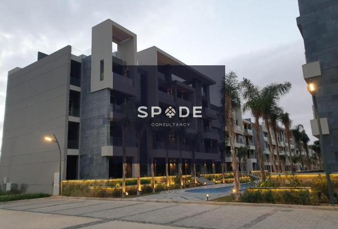 8527939 - Property Image 2