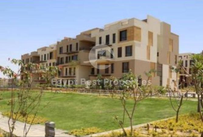 8395071 - Property Image 3