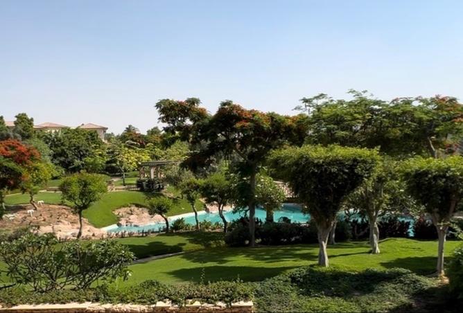 8009196 - صورة العقار 2