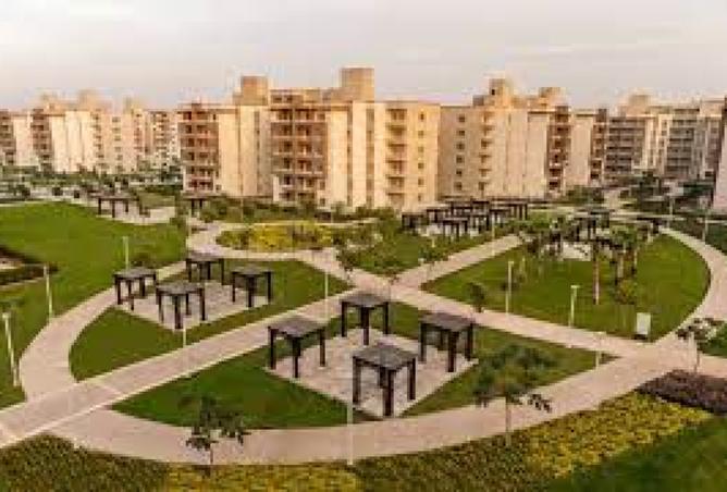 8262289 - صورة العقار 2