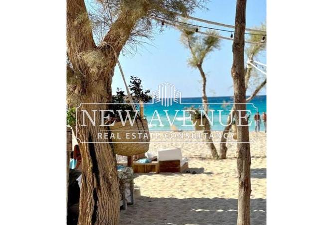 8170001 - صورة العقار 2