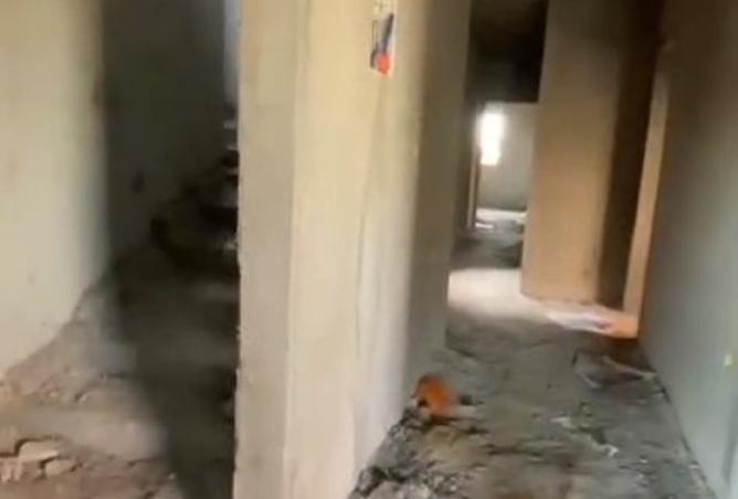 8291070 - Property Image 3