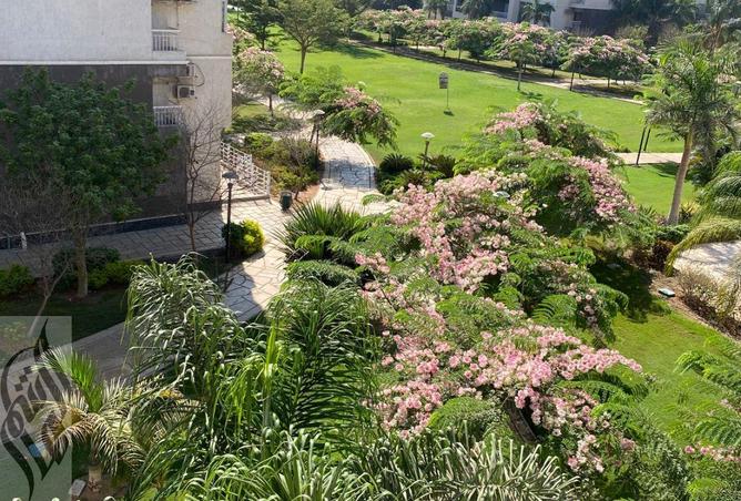 8274719 - صورة العقار 2