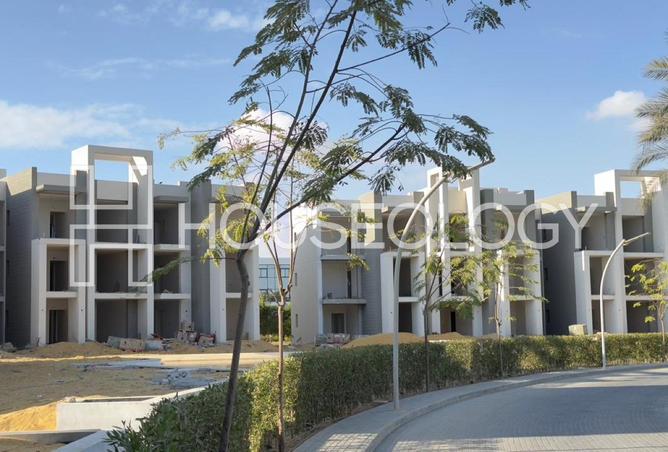 8423346 - صورة العقار 2