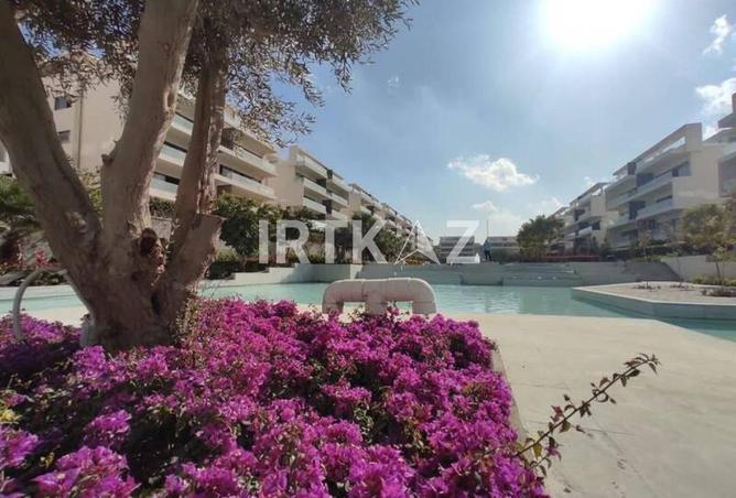 8256260 - Property Image 3