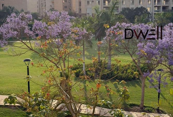 7910842 - صورة العقار 2