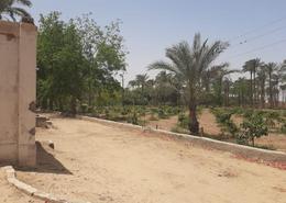 Land for للبيع in Al Mansoureya - Hay El Haram - Giza