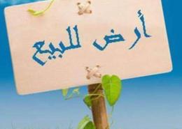 Land for للبيع in King Mariout - Hay Al Amereyah - Alexandria